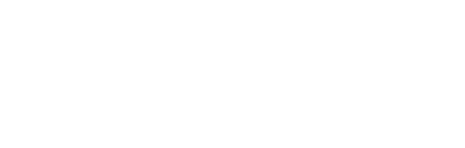 Expatnext Logo